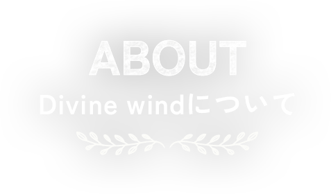  Divine windについて